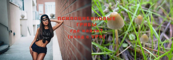 герыч Алексин