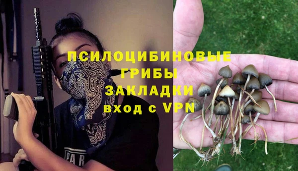 прущая мука Абаза
