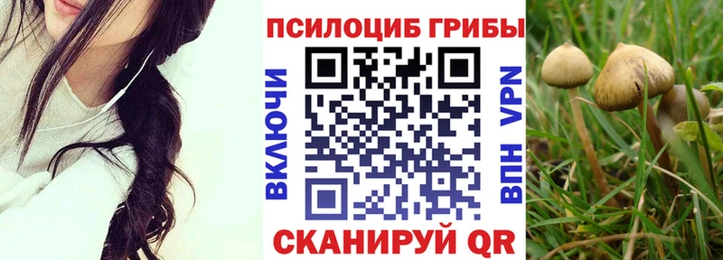 Галлюциногенные грибы Psilocybe  мориарти формула  Морозовск  хочу  