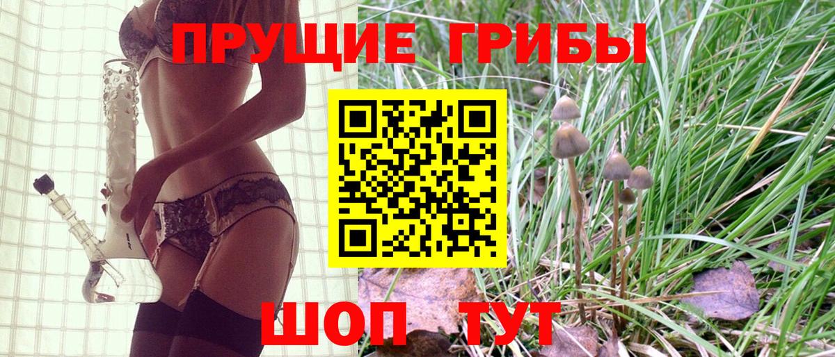 Галлюциногенные грибы ЛСД Морозовск
